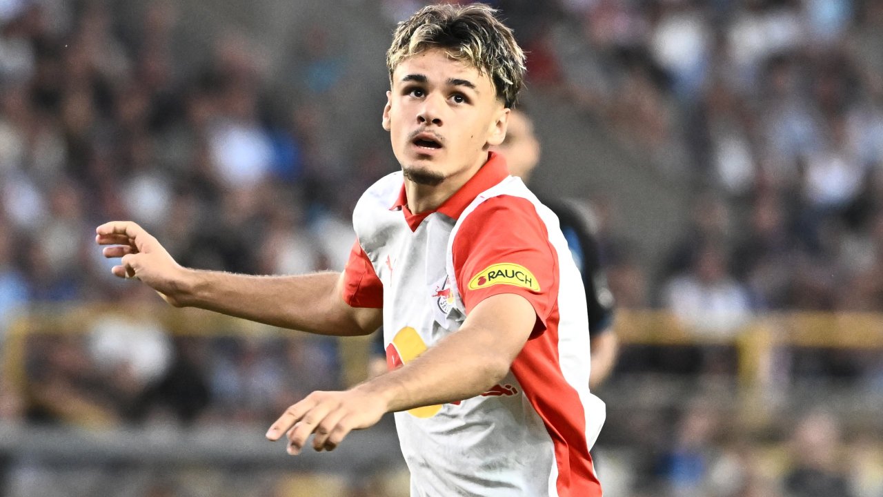 Kerim Alajbegovic war mit Sicherheit Schröders bester Einkauf