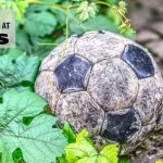 Die 7 … Enttäuschungen 2023