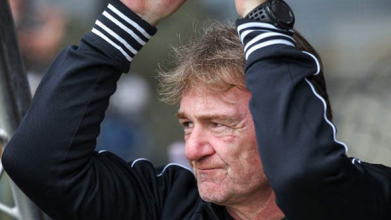 Bericht: Andreas Ogris könnte SV Stockerau als Trainer übernehmen