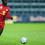 Salzburger Diakité wechselt zu Hartberg