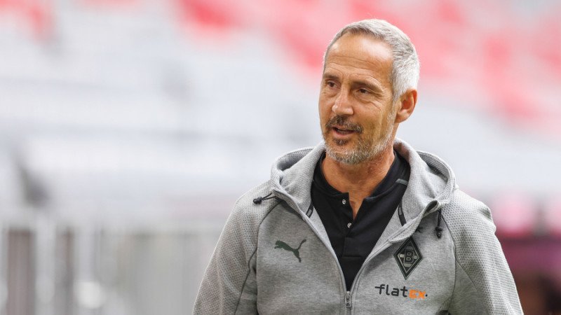 Adi Hütter: "Rapid hätte mich vor ein paar Jahren mehr gereizt als heute"
